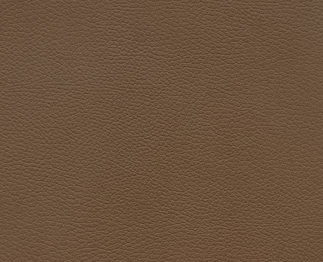 Staal van Leder Cognac