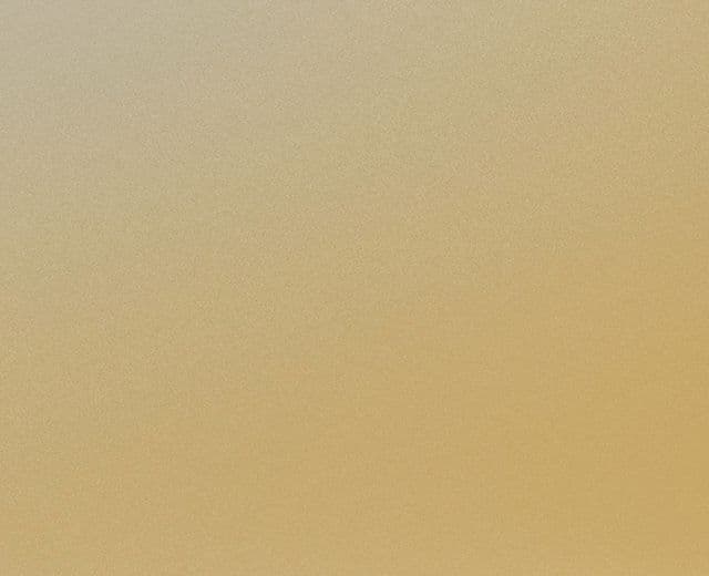 Staal van Goud Fluweel